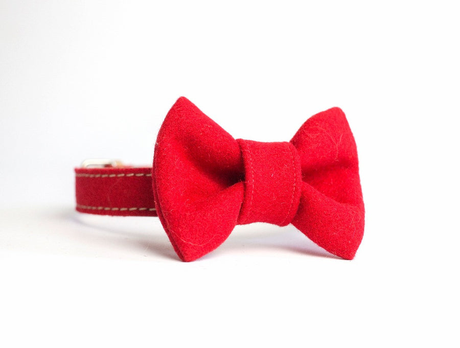 ECORed and Bowtie