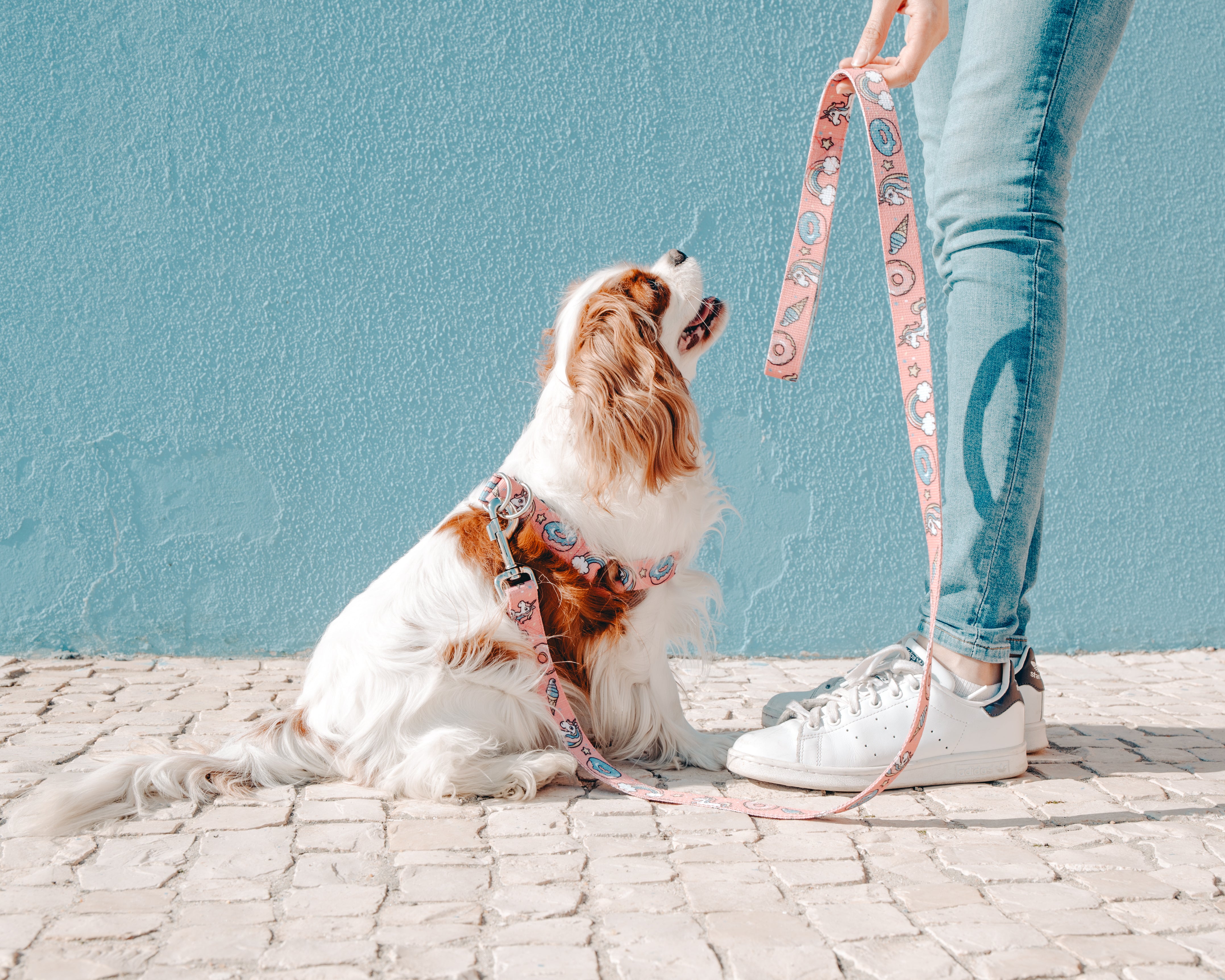 Dog Unicorn harness,  quality nylon webbing our patterns are printed into the nylon, making our Collars as resistant as colorful. 
