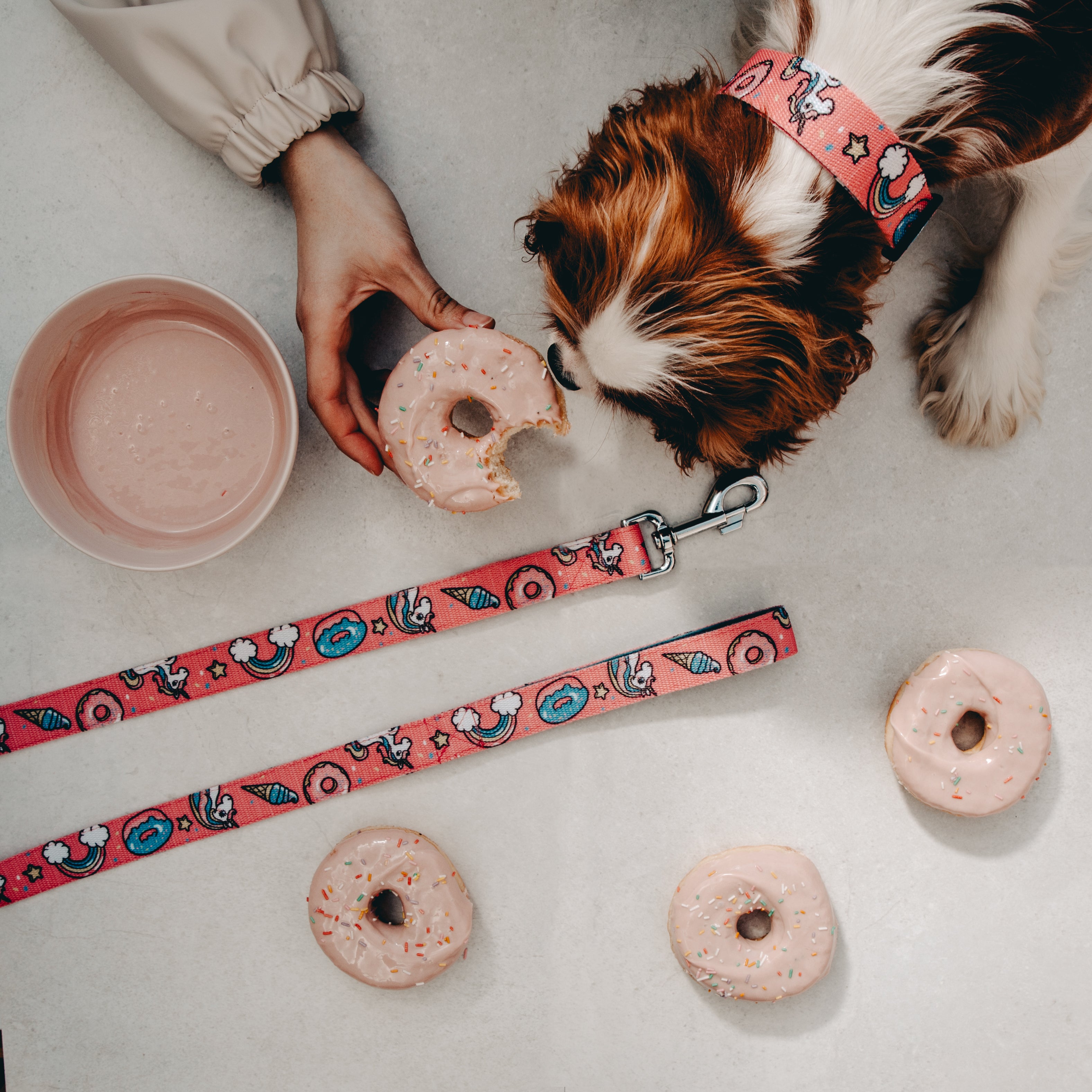 Dog Unicorn collar,  quality nylon webbing our patterns are printed into the nylon, making our Collars as resistant as colorful. 