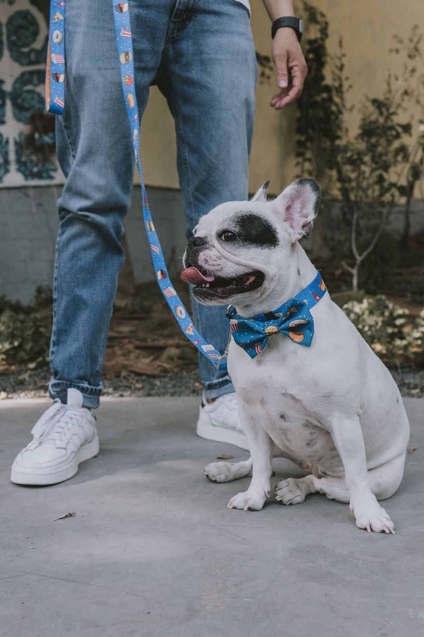 New York Bow Tie