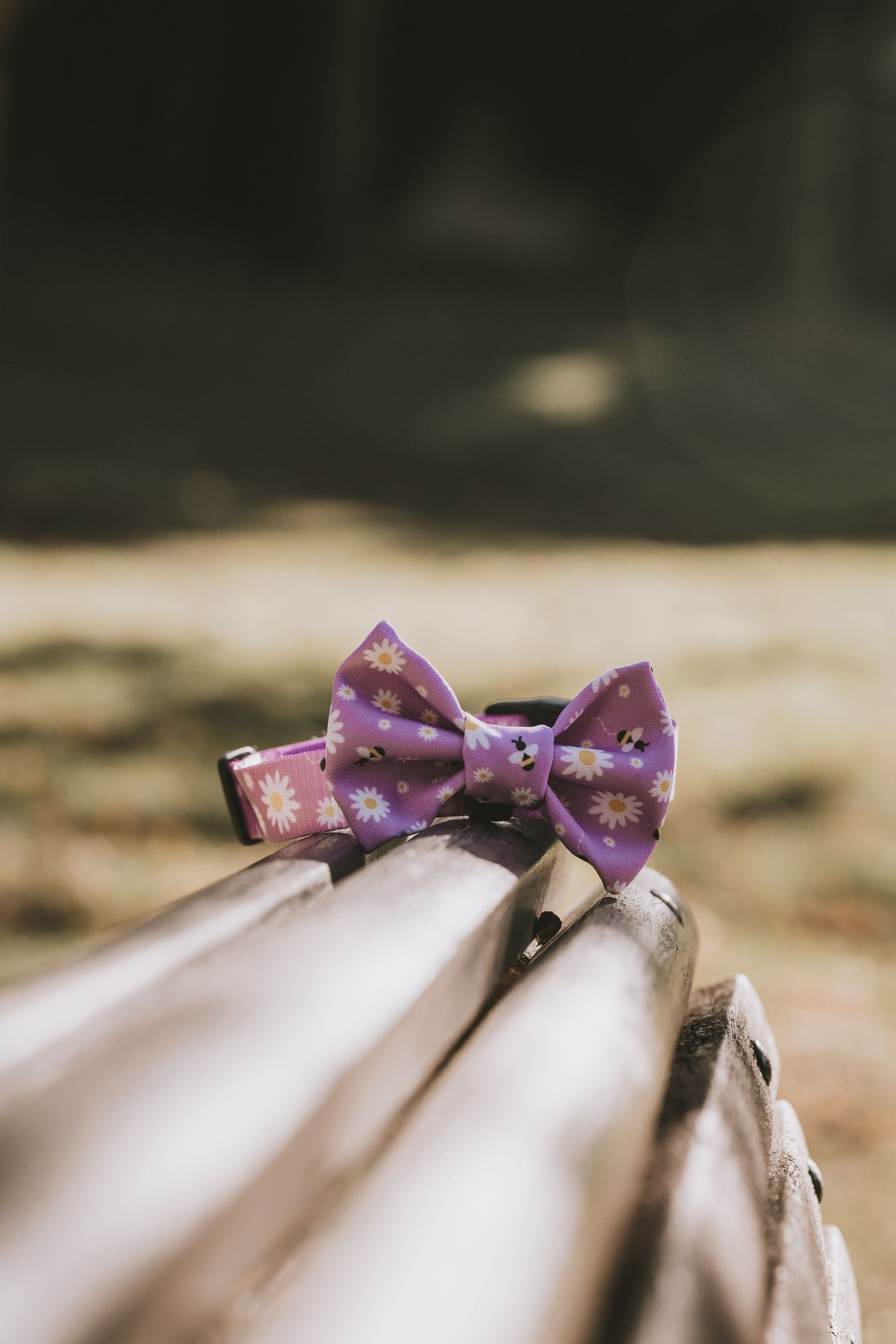 Kent Bow Tie