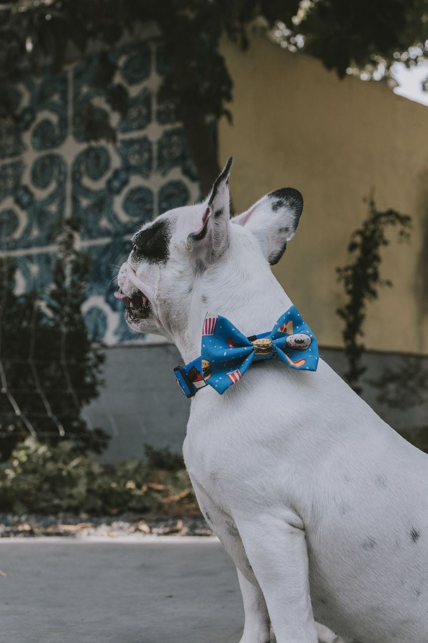 New York Bow Tie