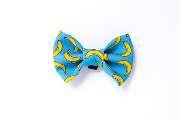 Funchal Bow Tie